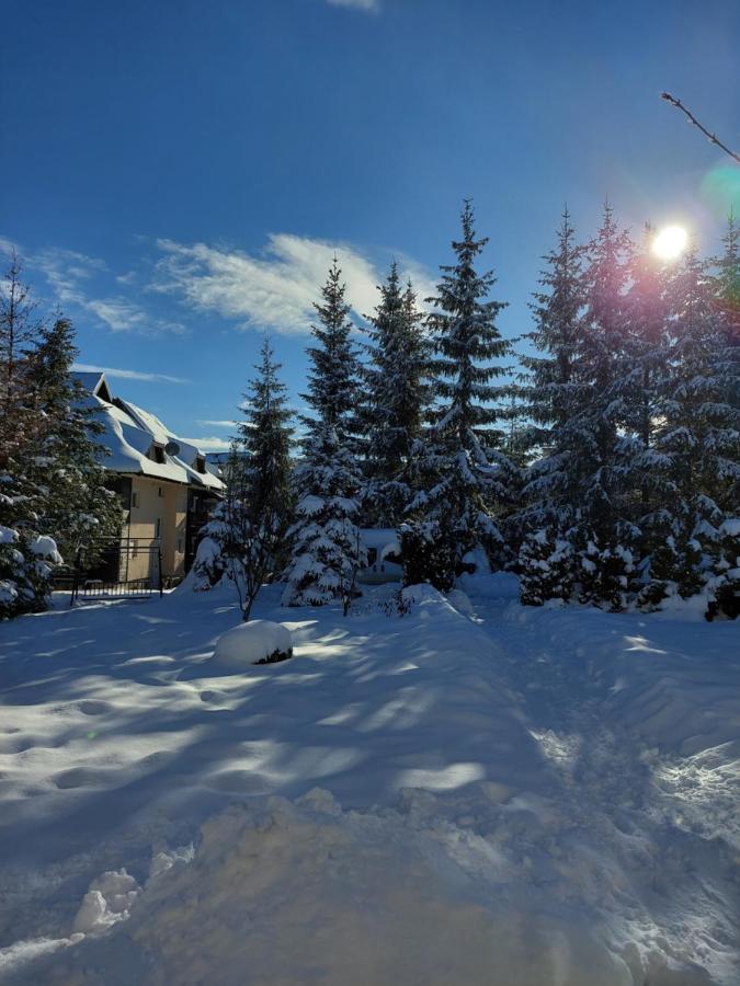 Apartmani Nika Zlatibor Exteriér fotografie
