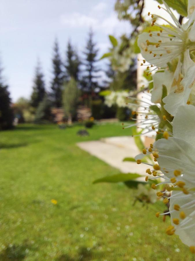 Apartmani Nika Zlatibor Exteriér fotografie