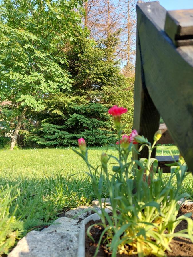 Apartmani Nika Zlatibor Exteriér fotografie