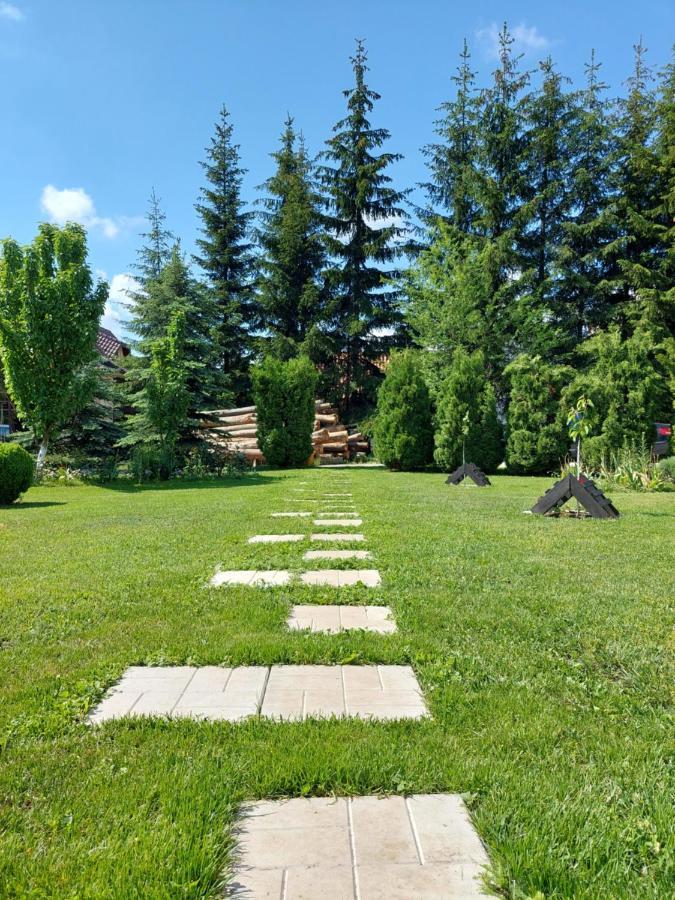 Apartmani Nika Zlatibor Exteriér fotografie
