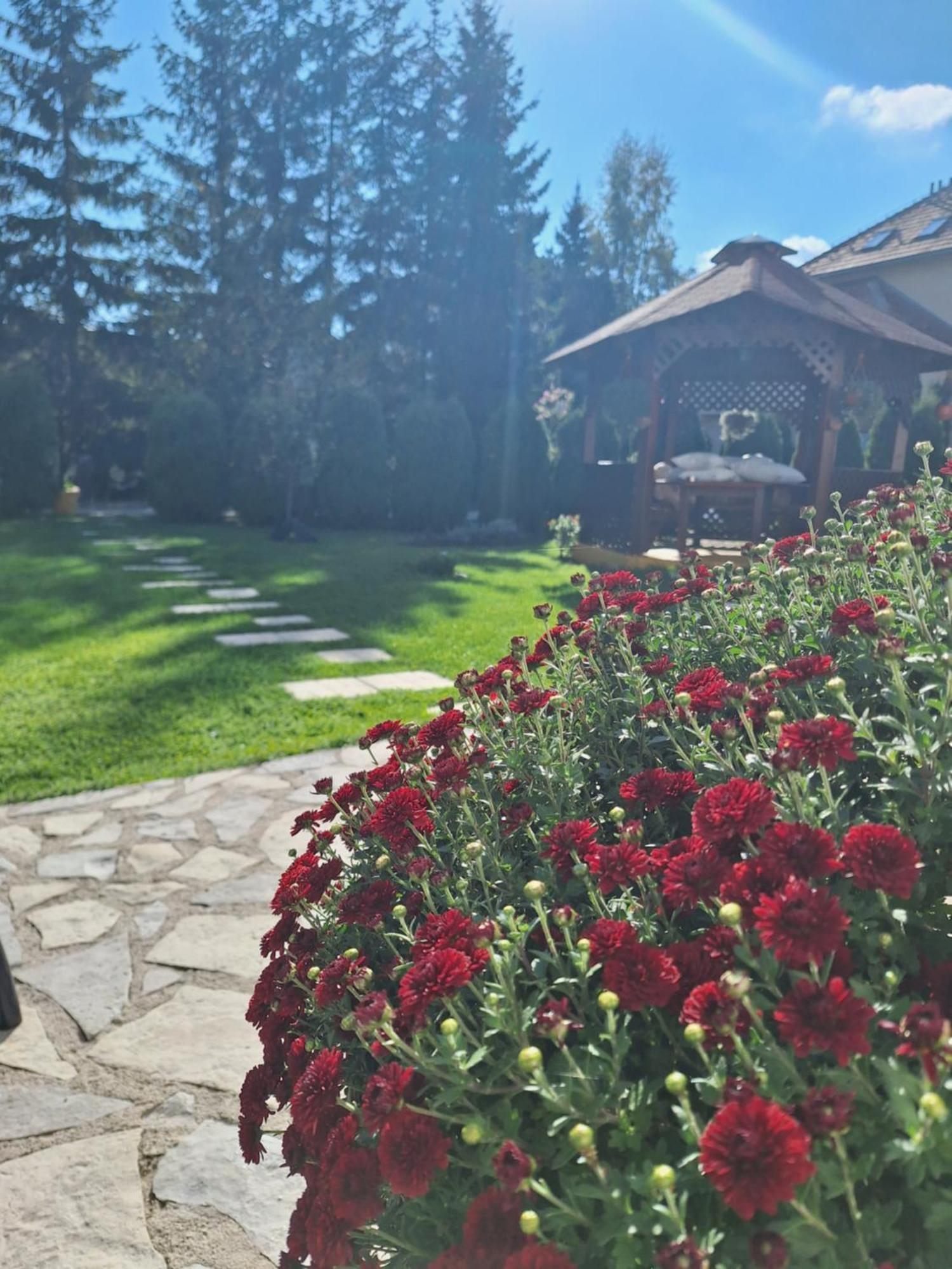 Apartmani Nika Zlatibor Exteriér fotografie