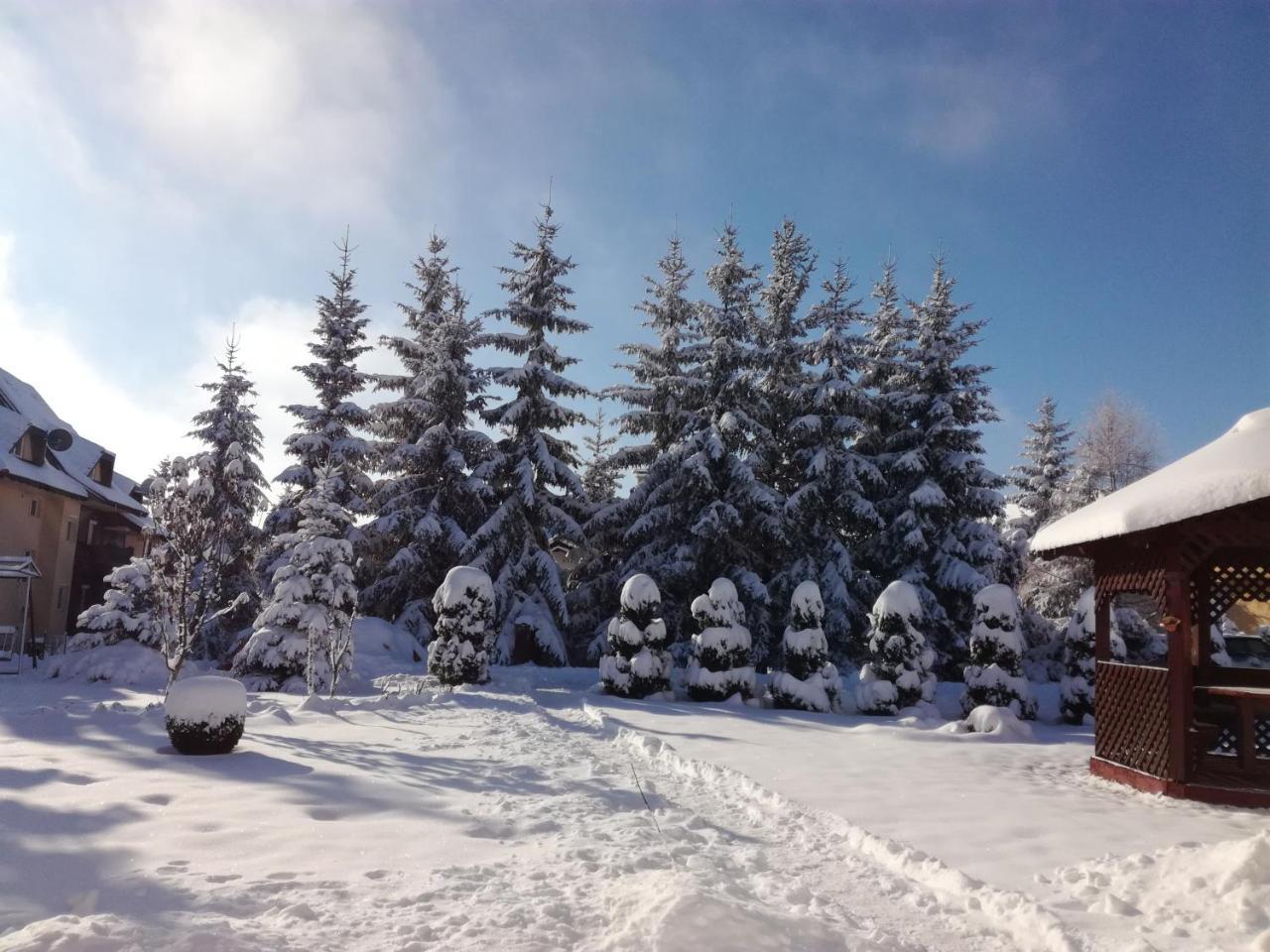 Apartmani Nika Zlatibor Exteriér fotografie